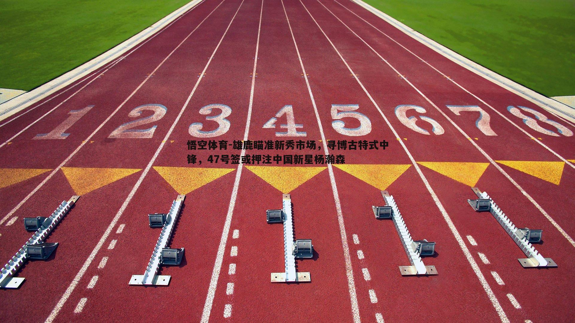 雄鹿瞄准新秀市场，寻博古特式中锋，47号签或押注中国新星杨瀚森